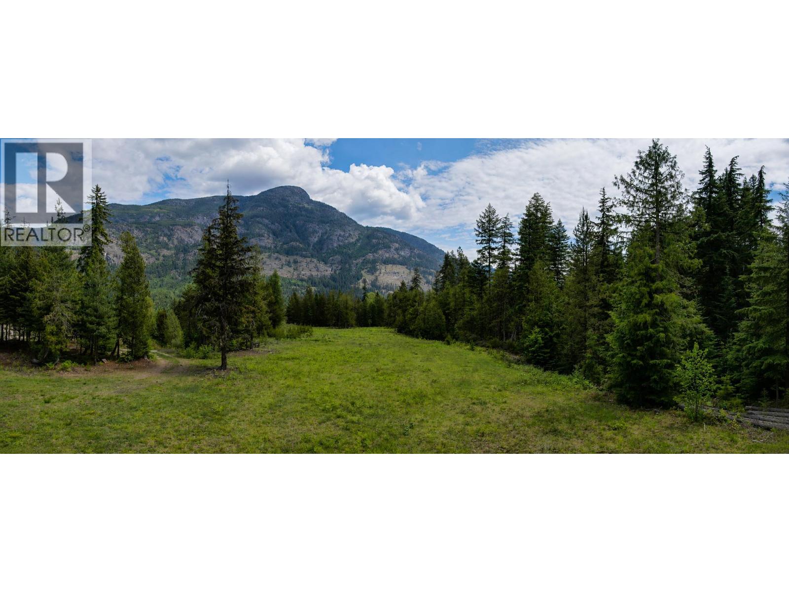 3809 Passmore Upper Road, Passmore, British Columbia  V1L 2J0 - Photo 12 - 10388519