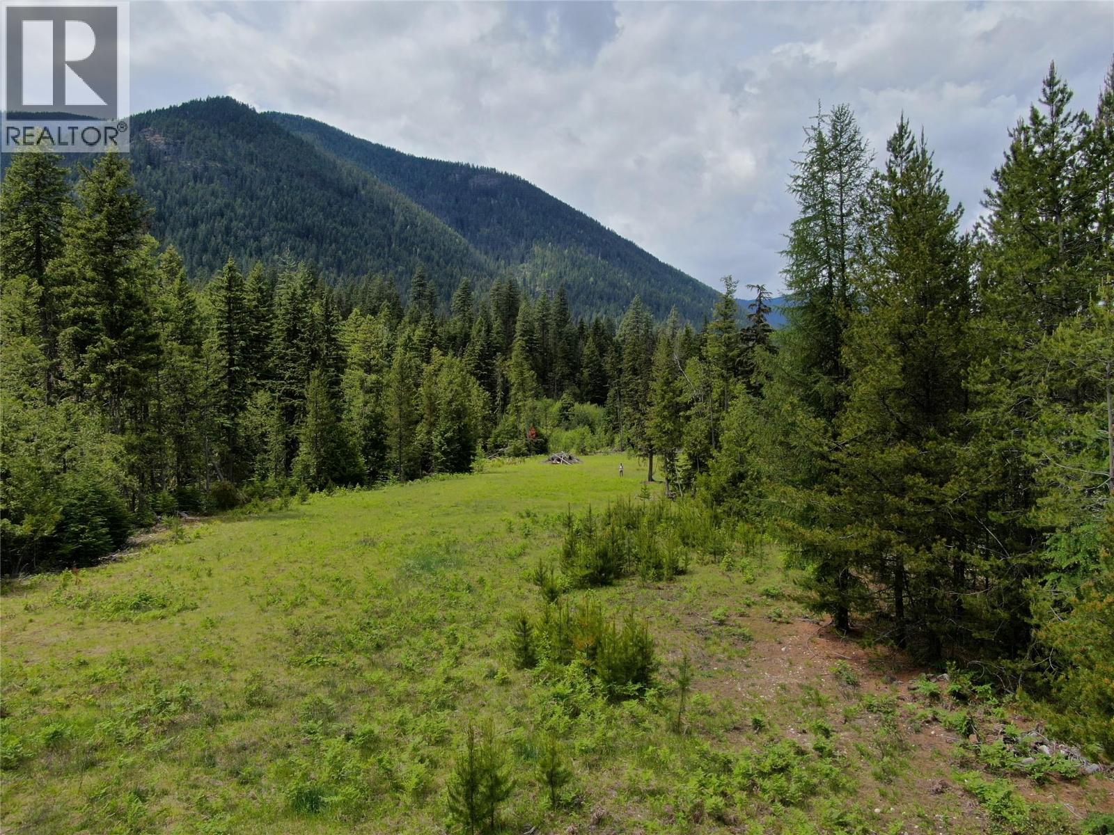 3809 Passmore Upper Road, Passmore, British Columbia  V1L 2J0 - Photo 14 - 10388519