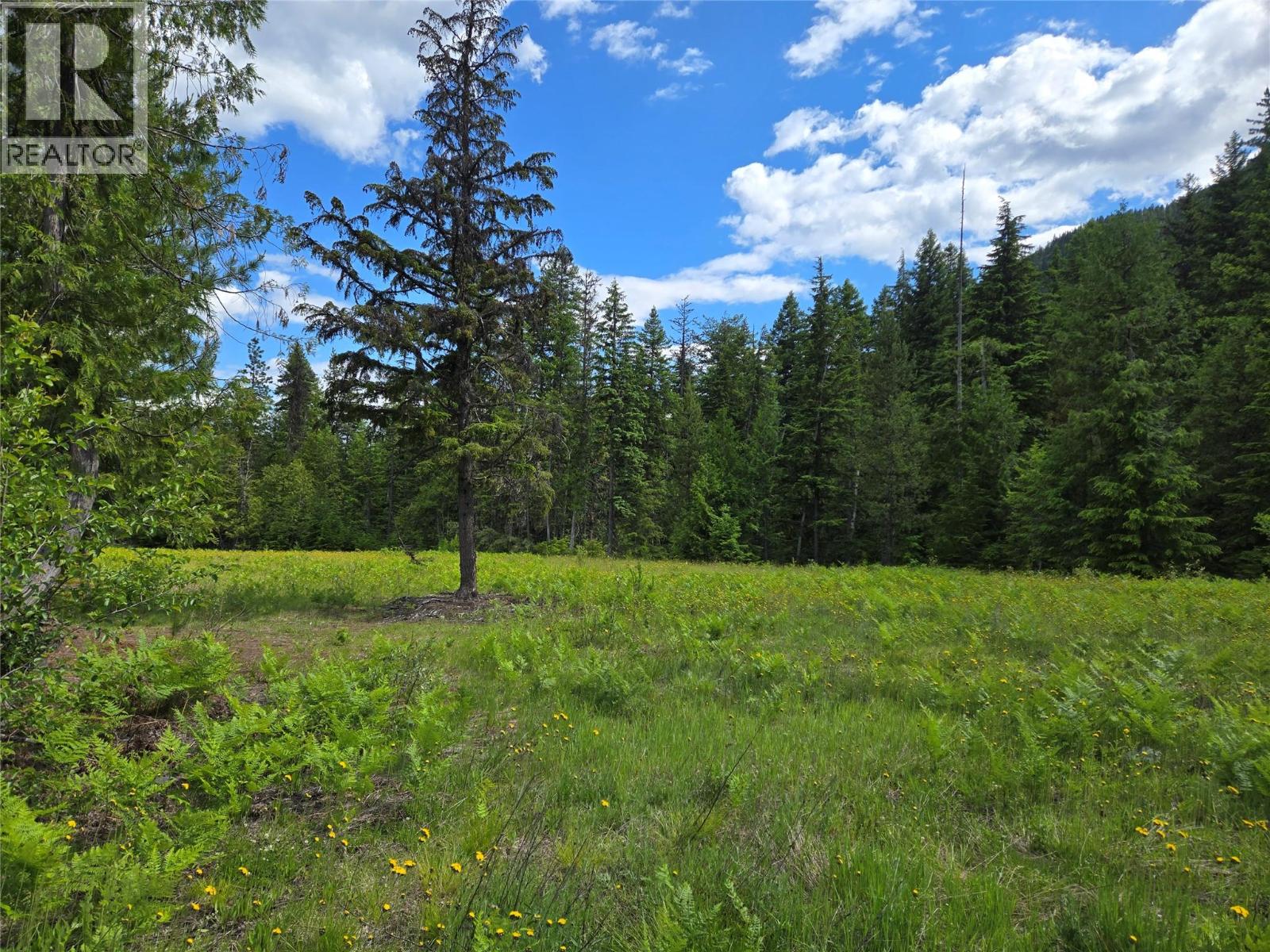 3809 Passmore Upper Road, Passmore, British Columbia  V1L 2J0 - Photo 4 - 10388519