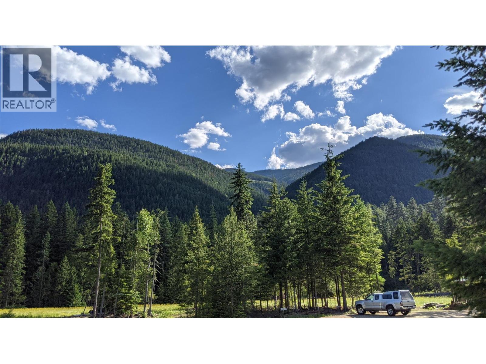3809 Passmore Upper Road, Passmore, British Columbia  V1L 2J0 - Photo 6 - 10388519