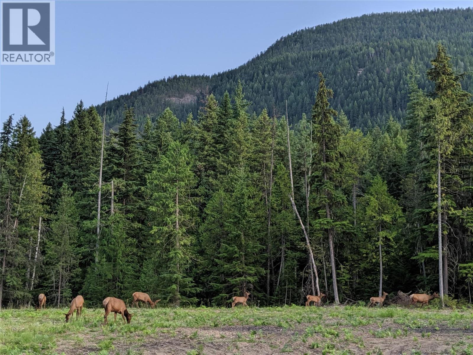 3809 Passmore Upper Road, Passmore, British Columbia  V1L 2J0 - Photo 8 - 10388519