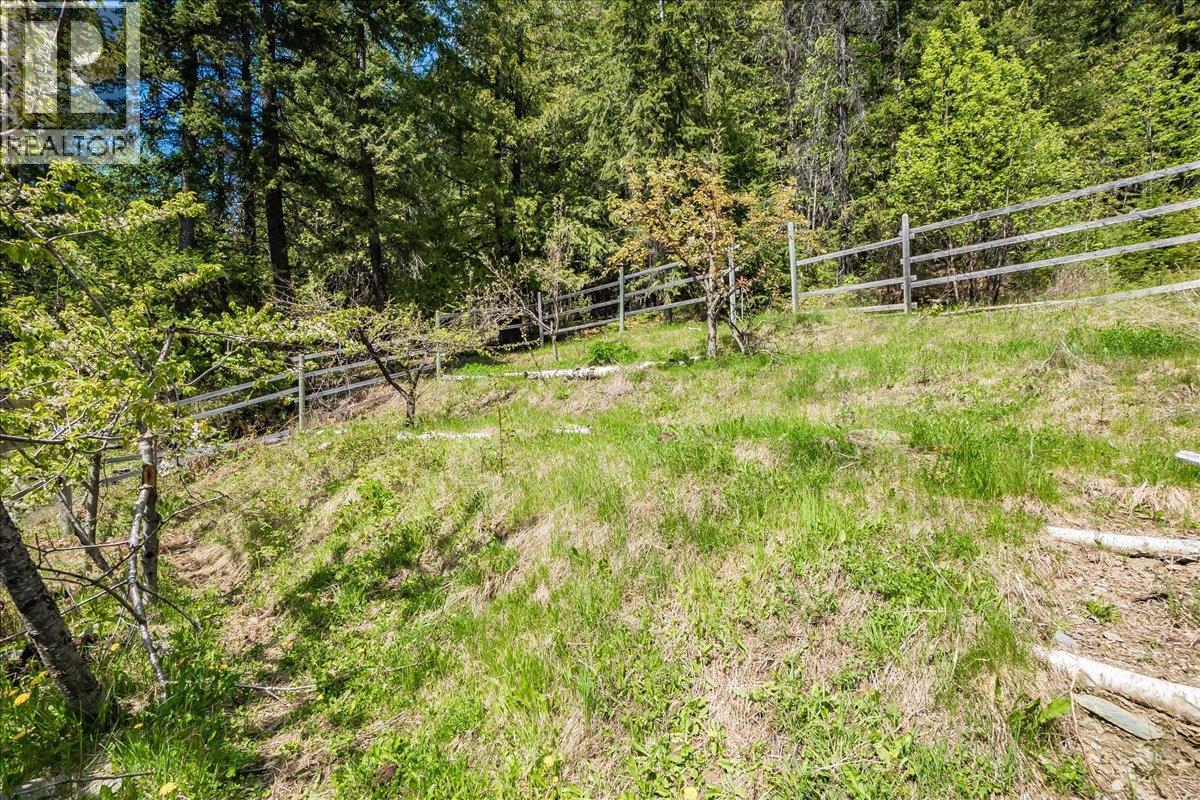 1732 Zwicky Road, Kaslo, British Columbia  V0G 1M0 - Photo 13 - 10388002