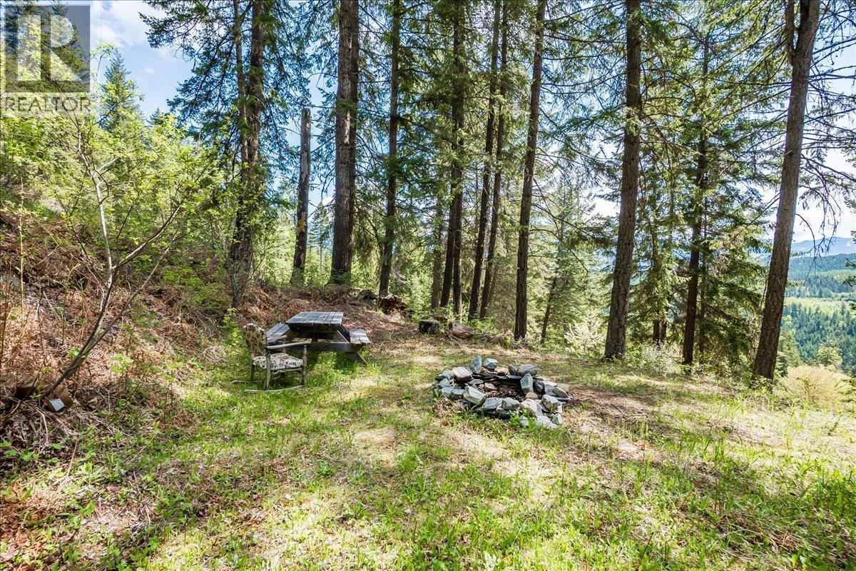 1732 Zwicky Road, Kaslo, British Columbia  V0G 1M0 - Photo 14 - 10388002