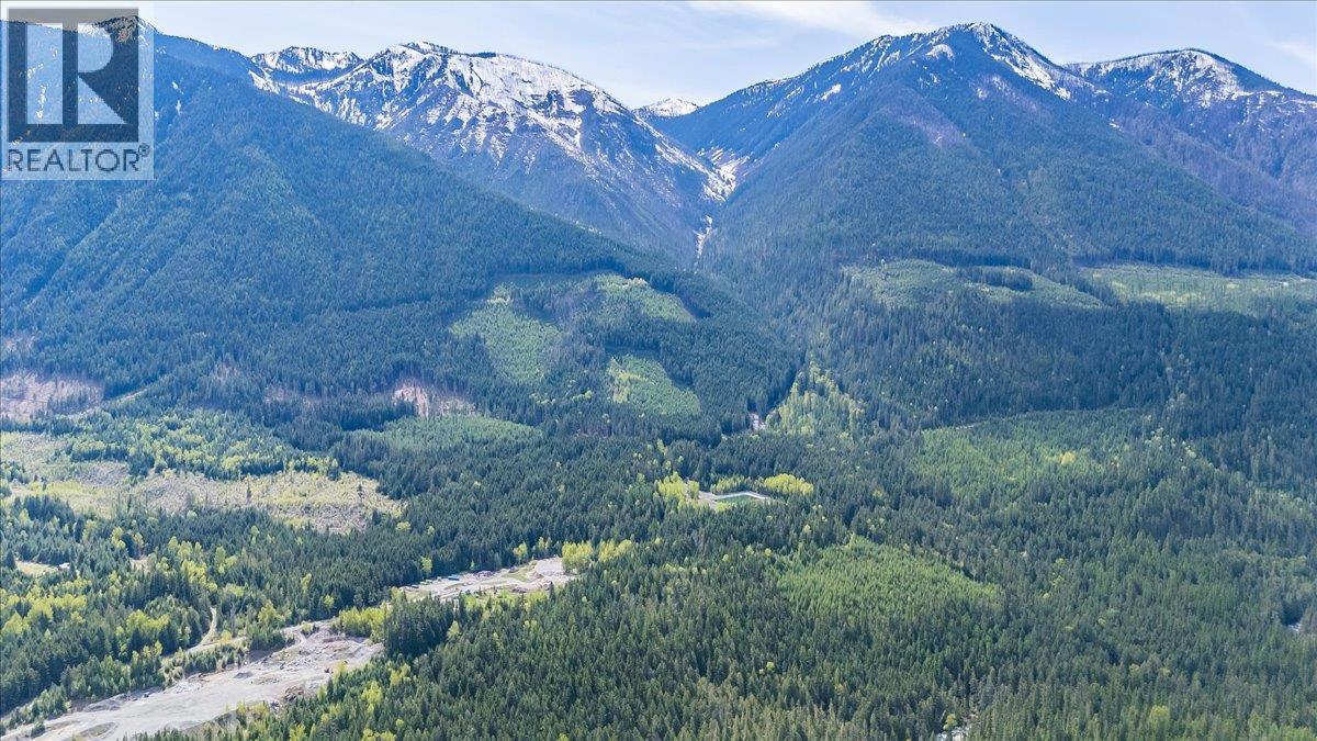 1732 Zwicky Road, Kaslo, British Columbia  V0G 1M0 - Photo 3 - 10388002