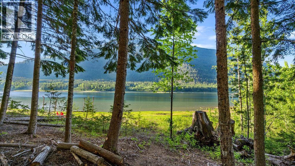 Rock Island Road Lot# 18, Arrow Park, British Columbia  V0G 1R1 - Photo 2 - 10388510