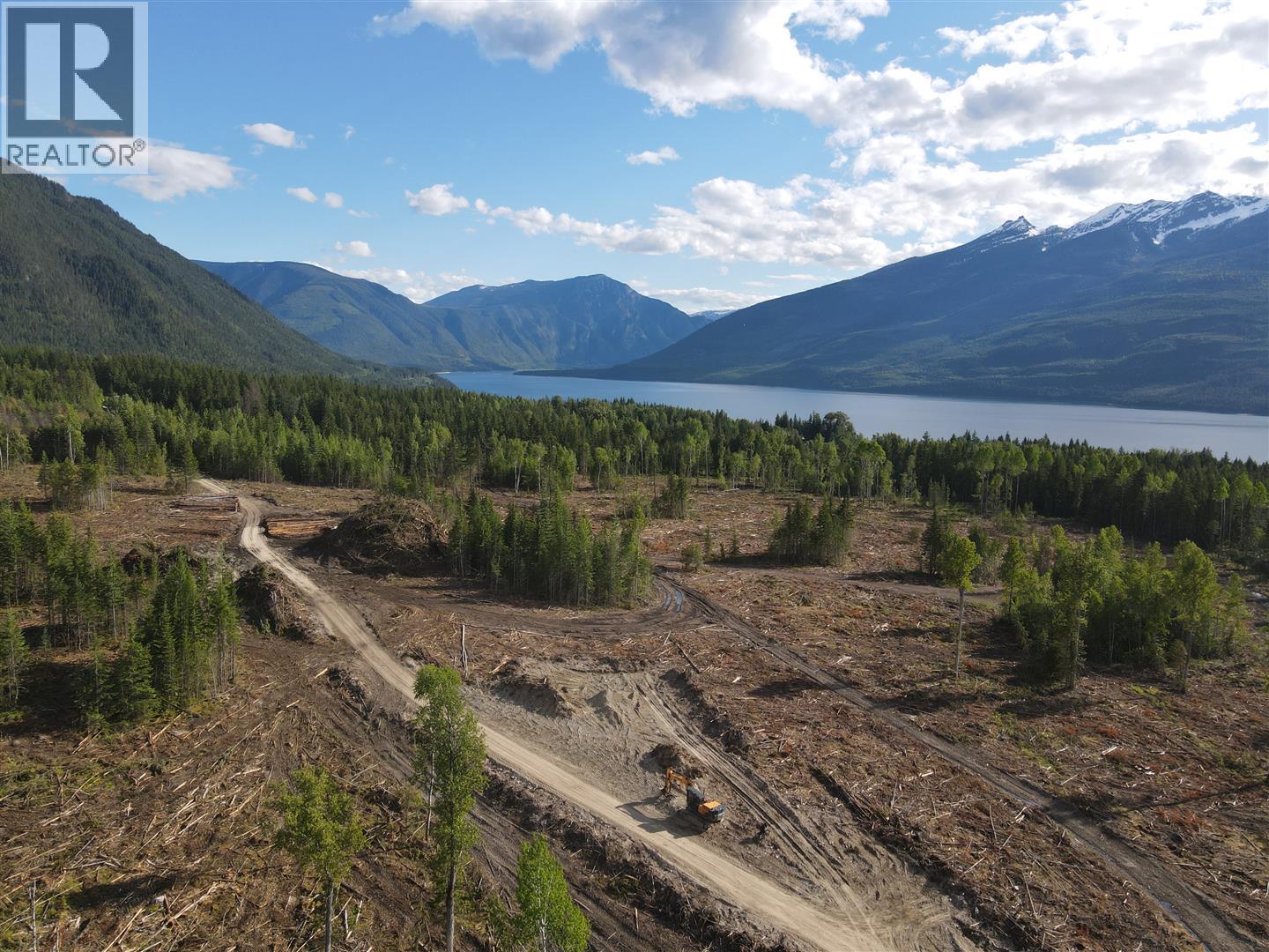 944 Guidon Road, Nakusp, British Columbia  V0G 1R1 - Photo 1 - 10388572