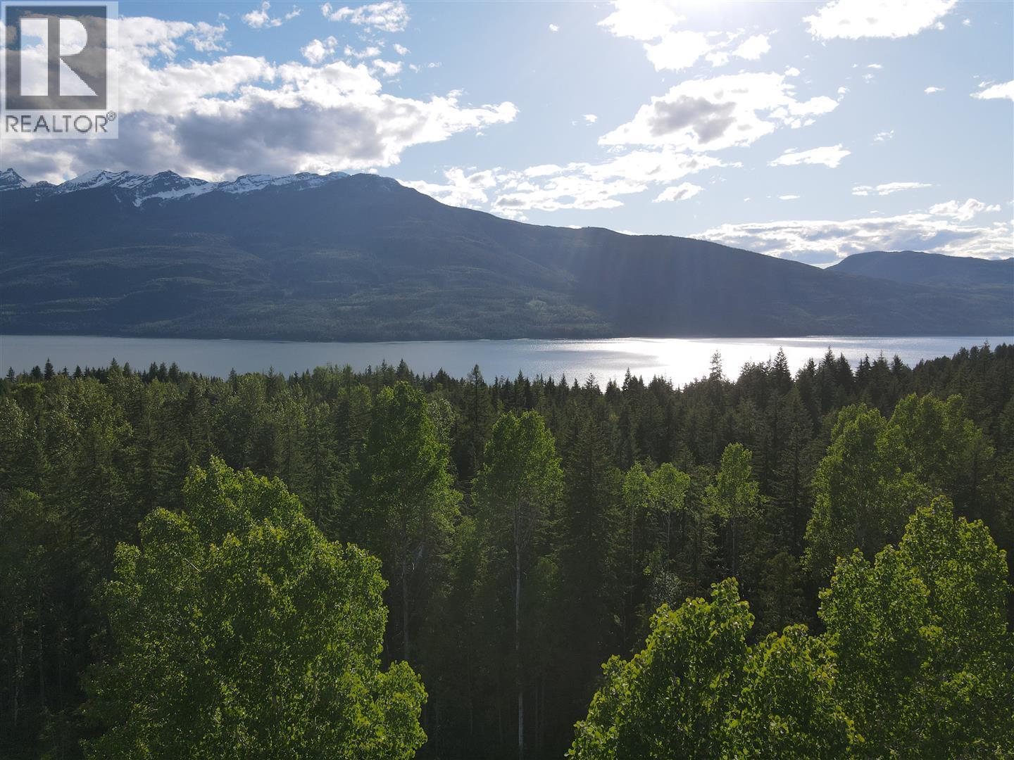 944 Guidon Road, Nakusp, British Columbia  V0G 1R1 - Photo 14 - 10388572