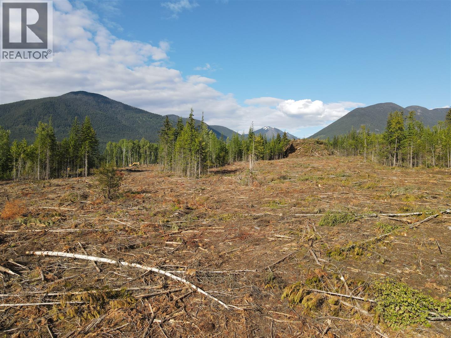 944 Guidon Road, Nakusp, British Columbia  V0G 1R1 - Photo 16 - 10388572