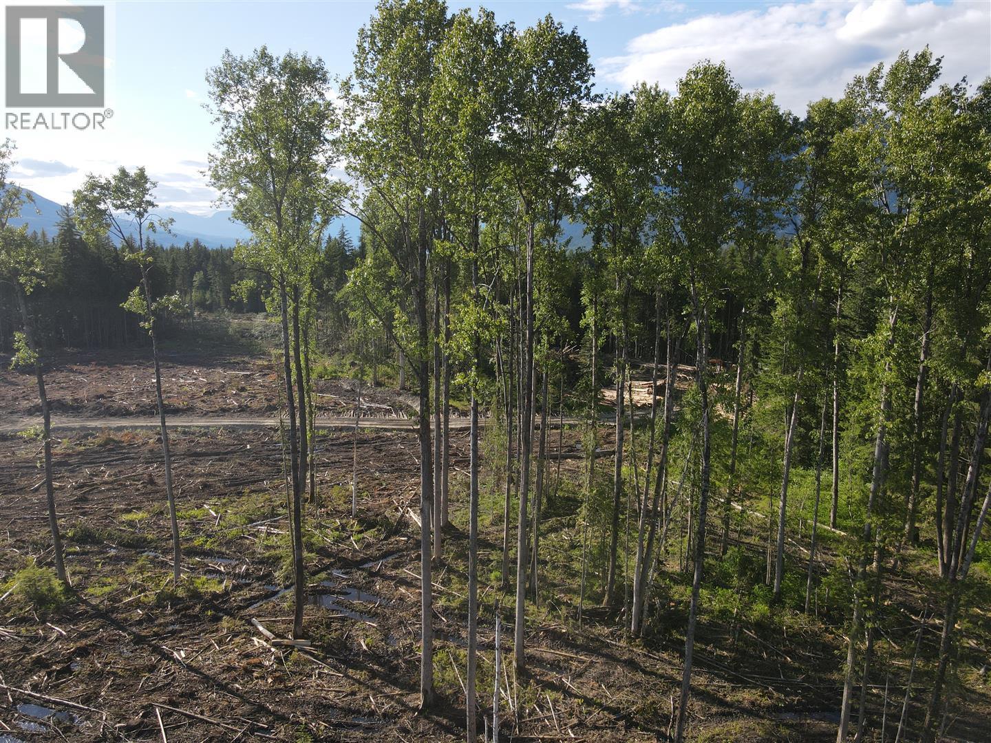 944 Guidon Road, Nakusp, British Columbia  V0G 1R1 - Photo 17 - 10388572