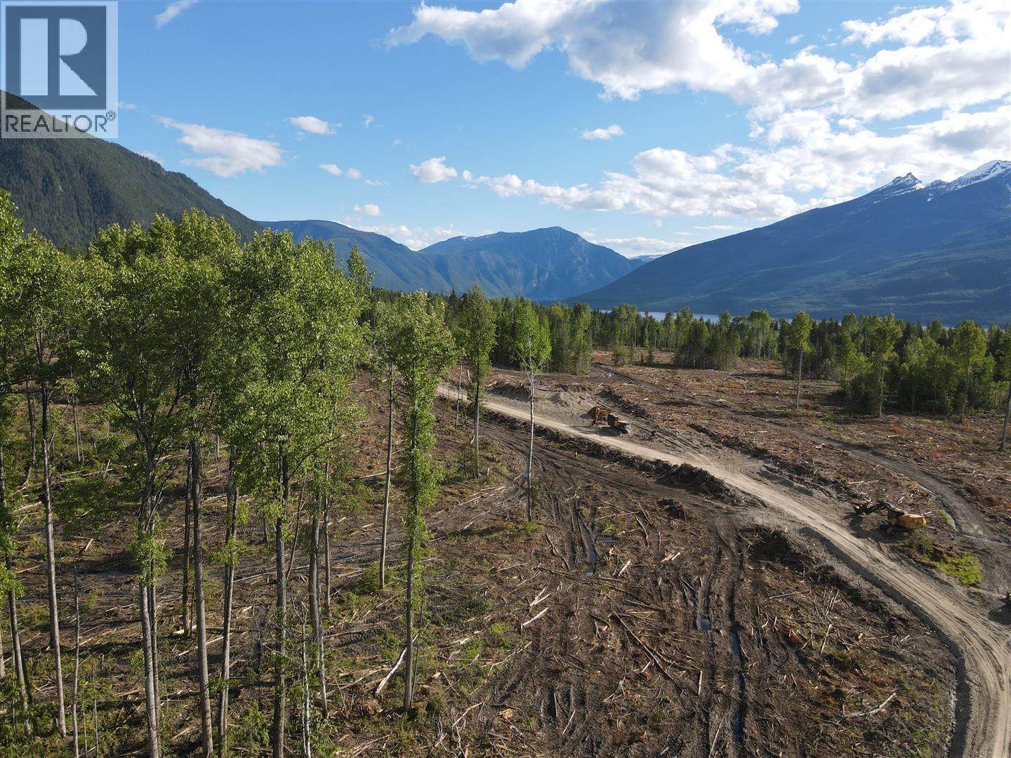 944 Guidon Road, Nakusp, British Columbia  V0G 1R1 - Photo 2 - 10388572