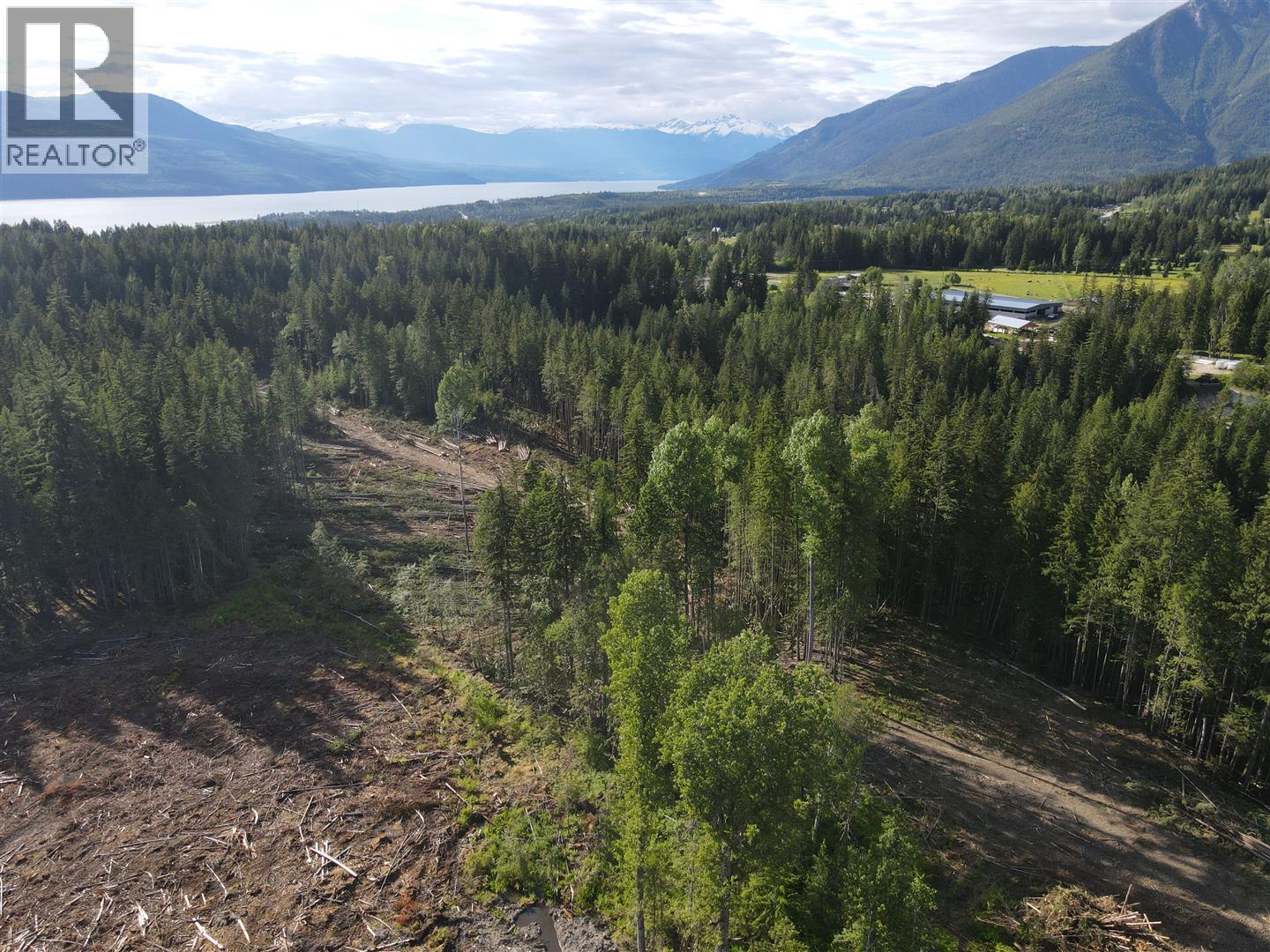 944 Guidon Road, Nakusp, British Columbia  V0G 1R1 - Photo 3 - 10388572