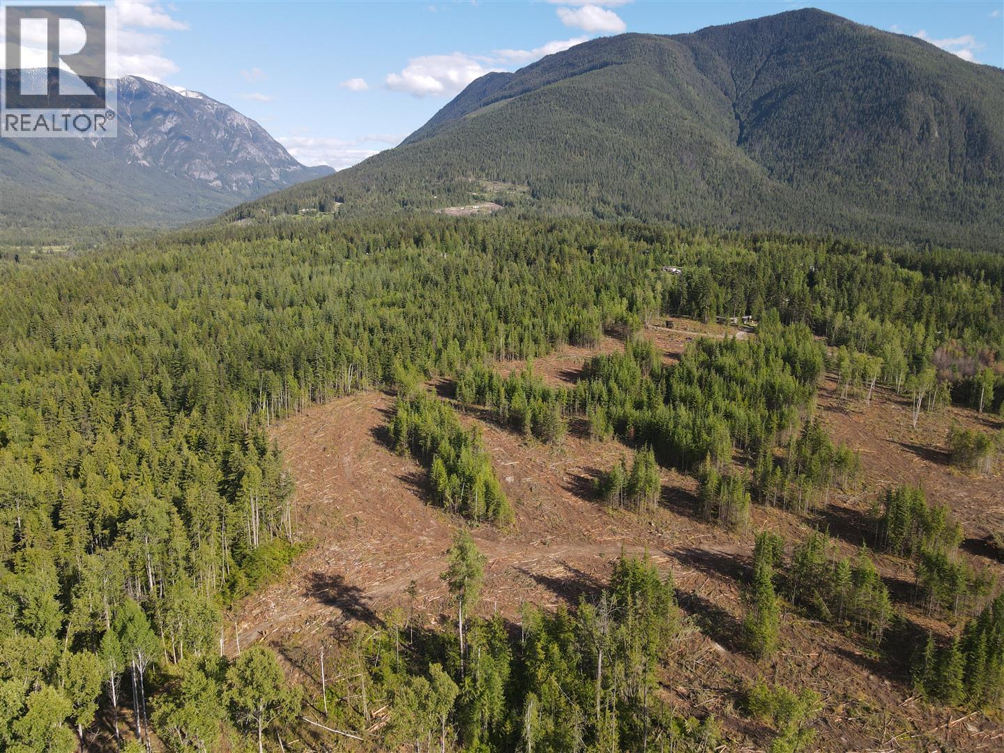 944 Guidon Road, Nakusp, British Columbia  V0G 1R1 - Photo 6 - 10388572