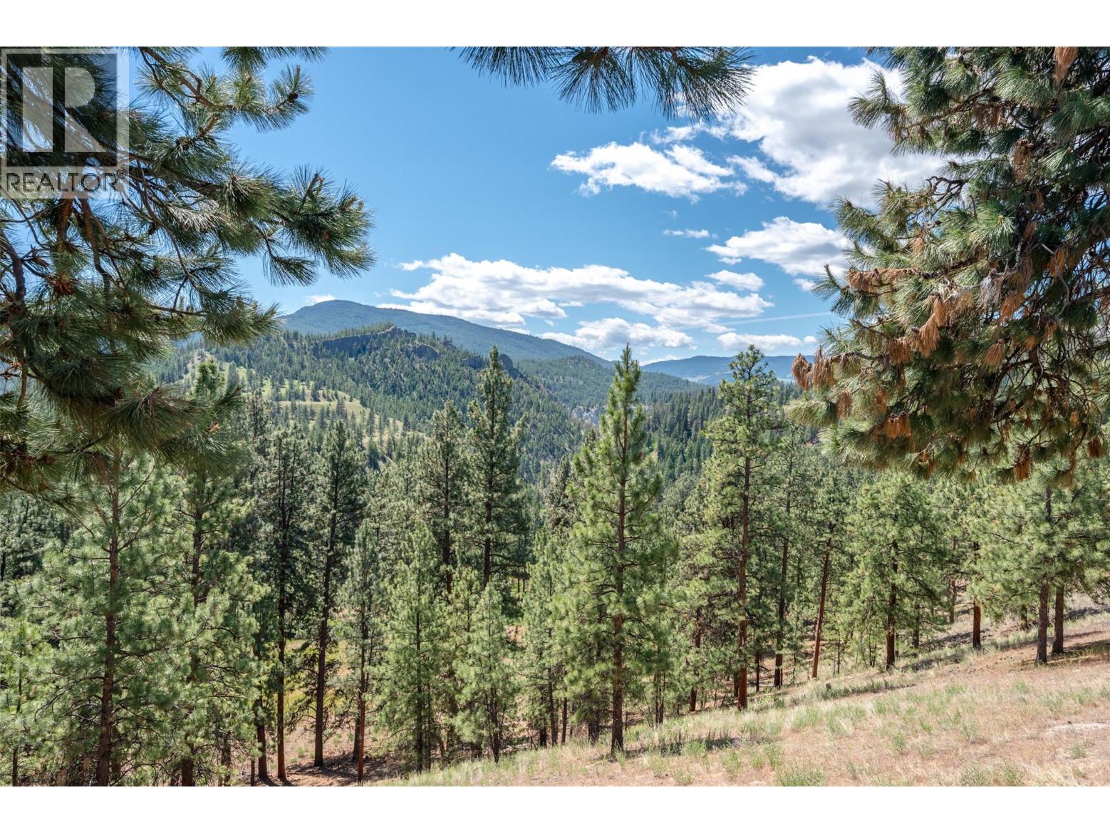 9931 Canyon View Road, Summerland, British Columbia  V0H 1Z2 - Photo 39 - 10388382