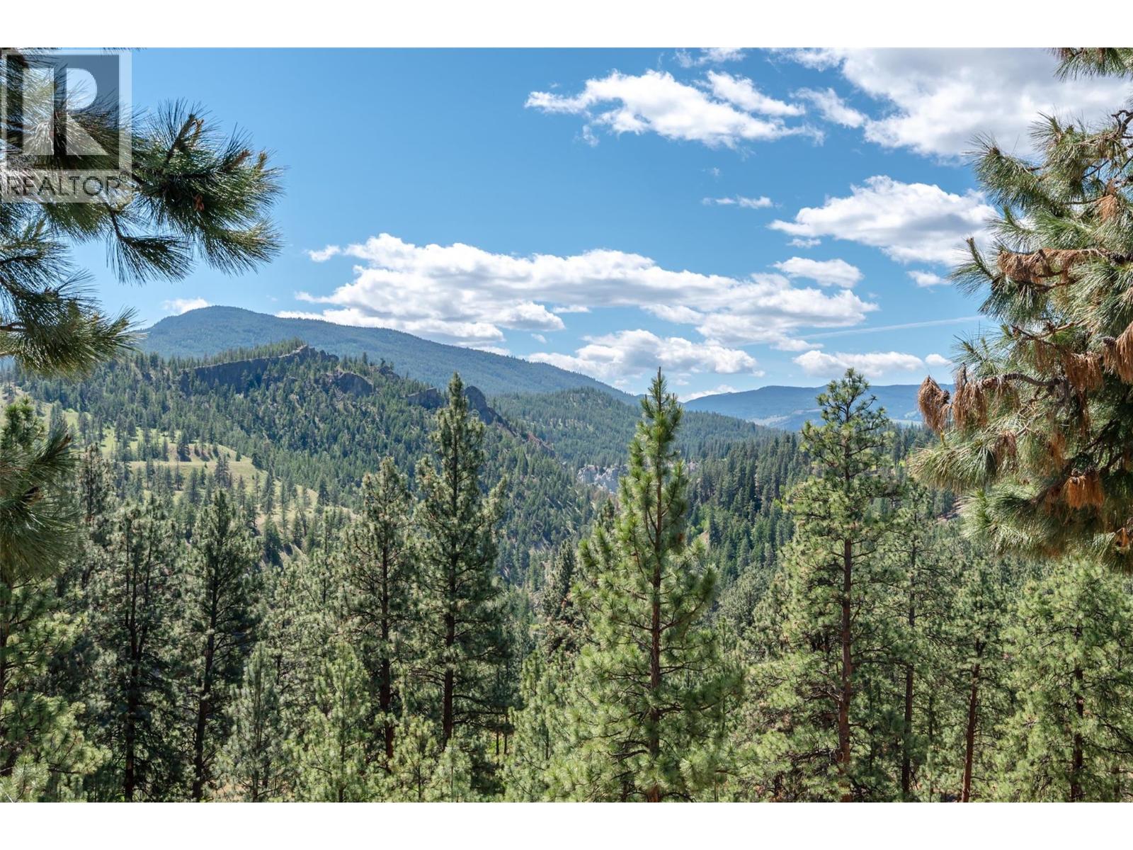 9931 Canyon View Road, Summerland, British Columbia  V0H 1Z2 - Photo 40 - 10388382