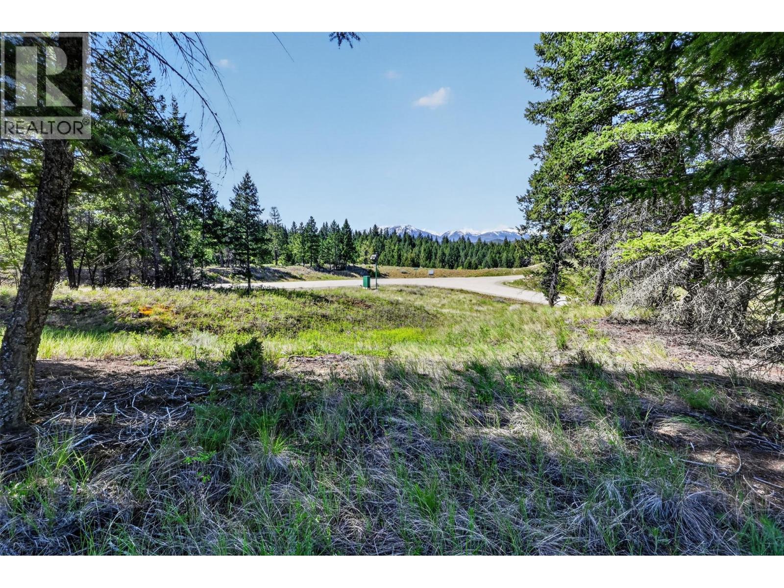 4915 Saddlewood Lane, Radium Hot Springs, British Columbia  V0A 1M0 - Photo 7 - 10388239