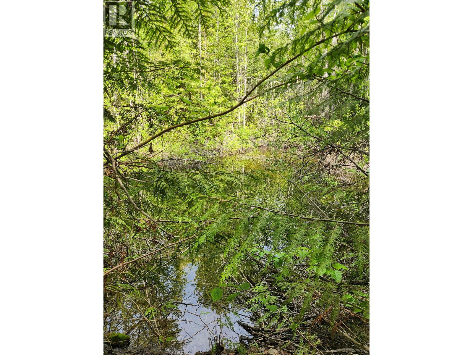 712 Grange Road, Enderby, British Columbia  V0E 1V3 - Photo 10 - 10388570