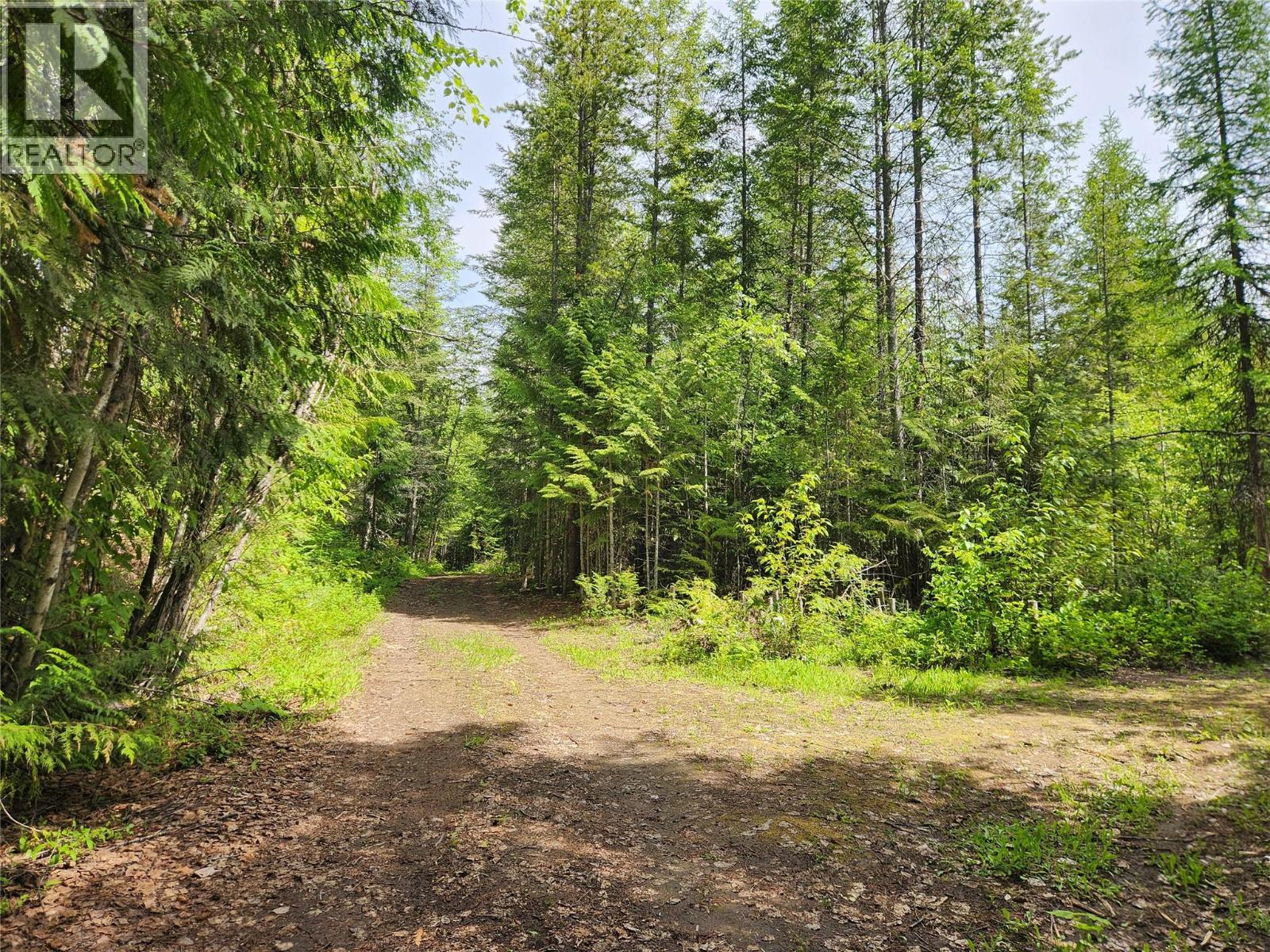 712 Grange Road, Enderby, British Columbia  V0E 1V3 - Photo 15 - 10388570