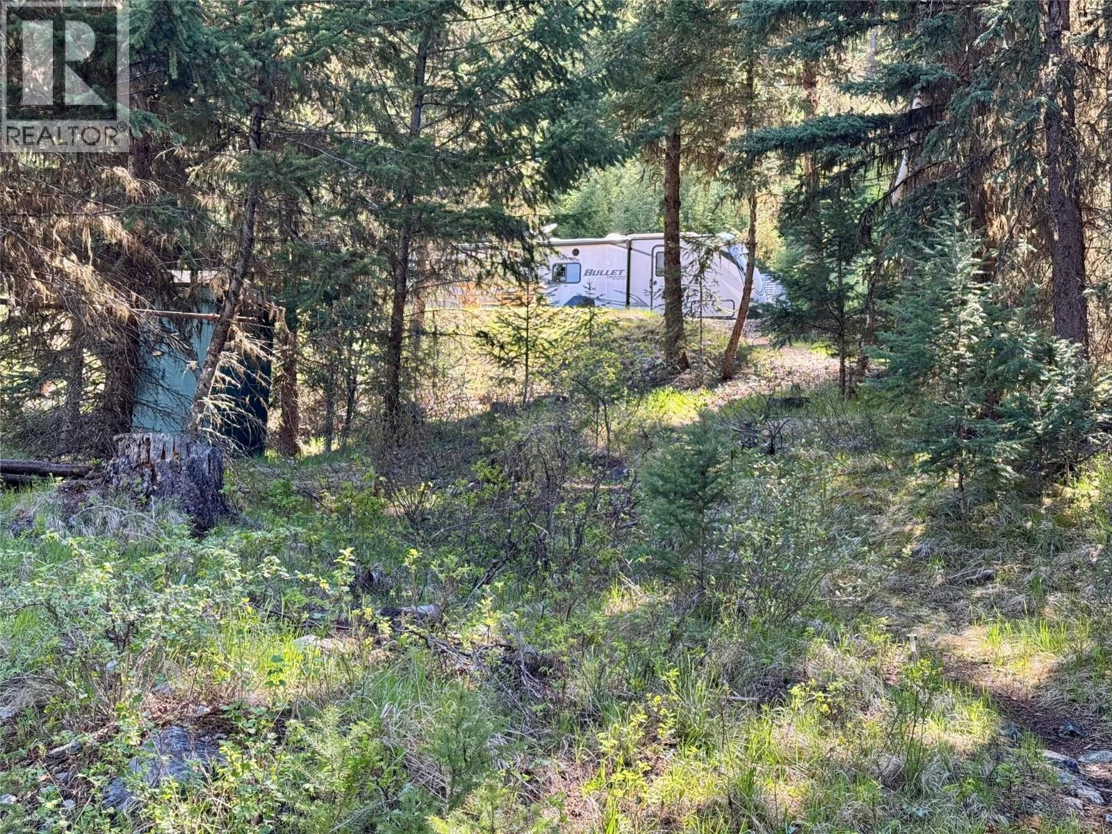 Lot 17 Whitetail Lake Road, Canal Flats, British Columbia  V0B 1L2 - Photo 15 - 10388625