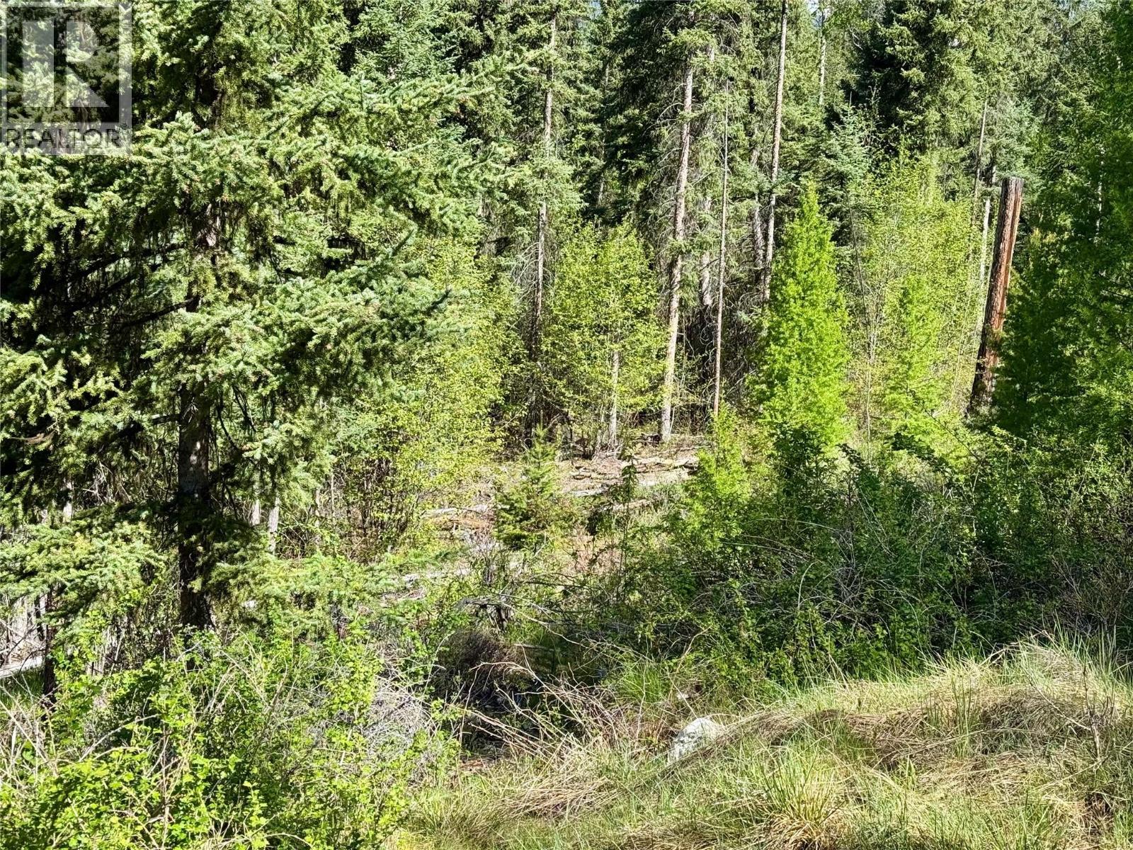 Lot 17 Whitetail Lake Road, Canal Flats, British Columbia  V0B 1L2 - Photo 16 - 10388625