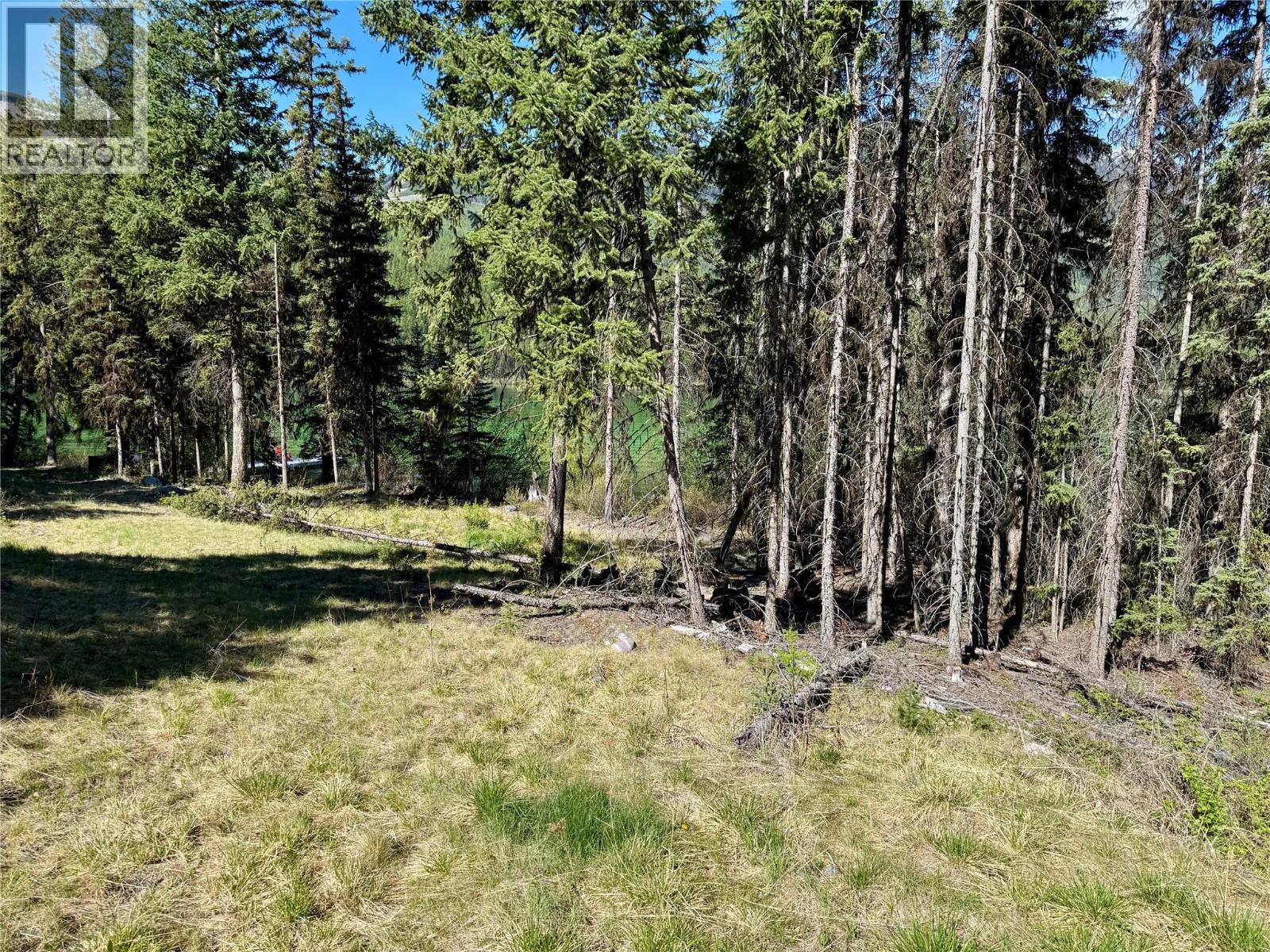 Lot 17 Whitetail Lake Road, Canal Flats, British Columbia  V0B 1L2 - Photo 4 - 10388625
