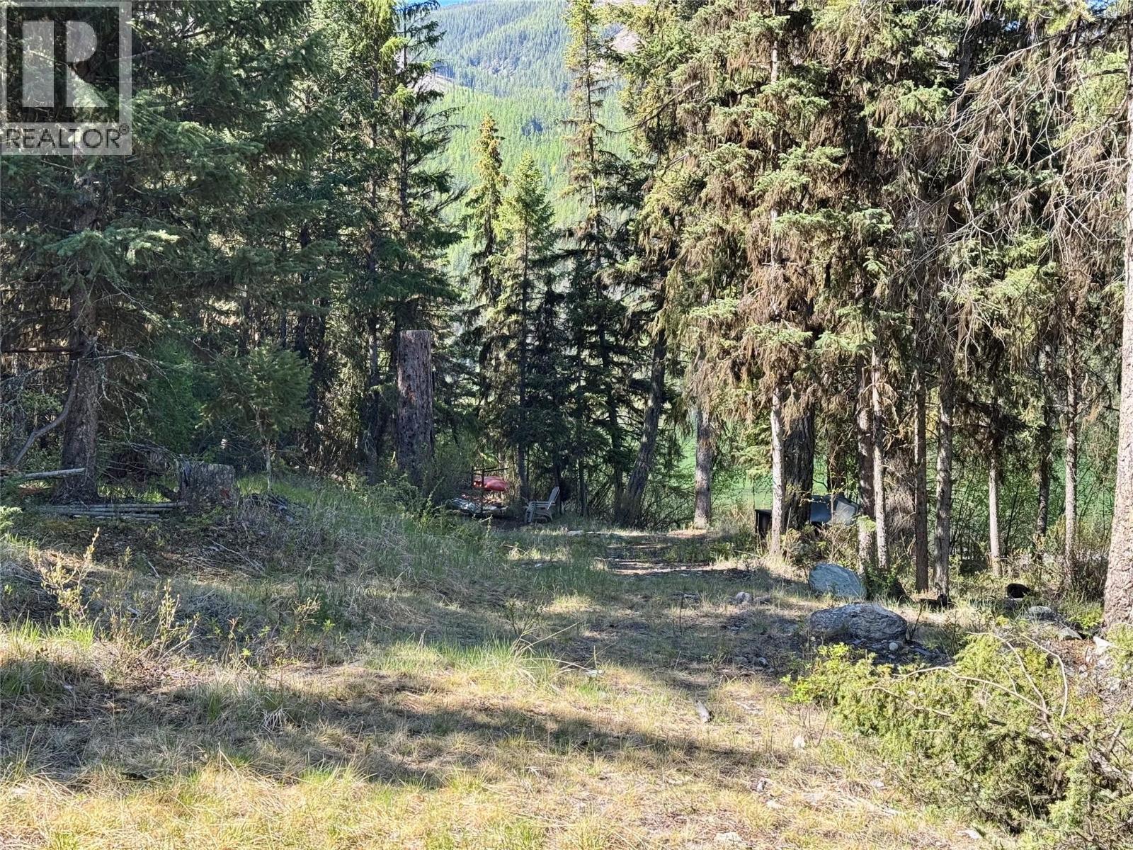 Lot 17 Whitetail Lake Road, Canal Flats, British Columbia  V0B 1L2 - Photo 5 - 10388625