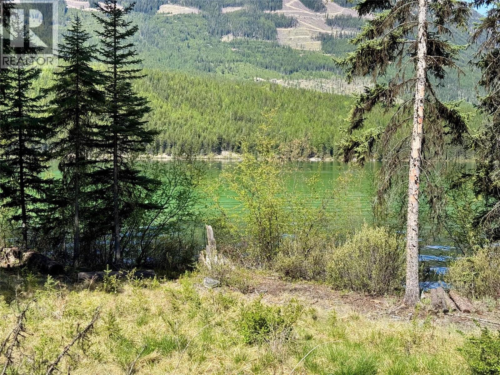 Lot 17 Whitetail Lake Road, Canal Flats, British Columbia  V0B 1L2 - Photo 6 - 10388625