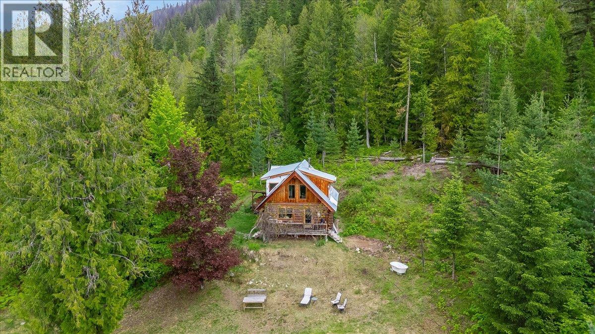 8907 Martens Road, Slocan, British Columbia  V0G 2C0 - Photo 5 - 10388581