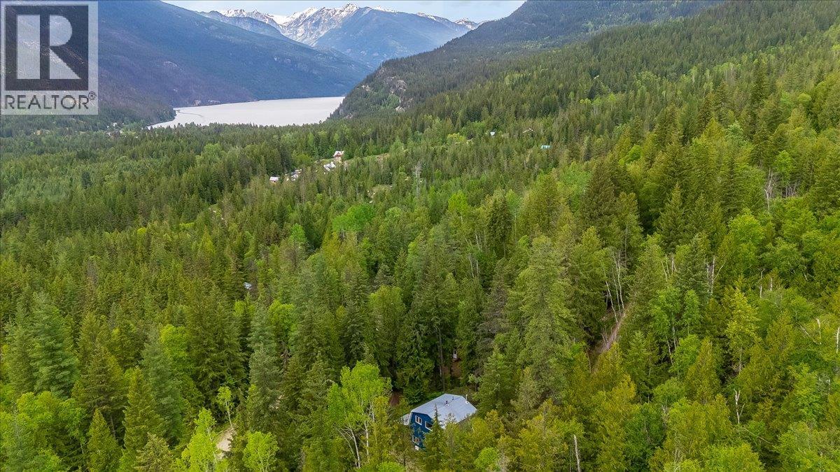 8907 Martens Road, Slocan, British Columbia  V0G 2C0 - Photo 57 - 10388581
