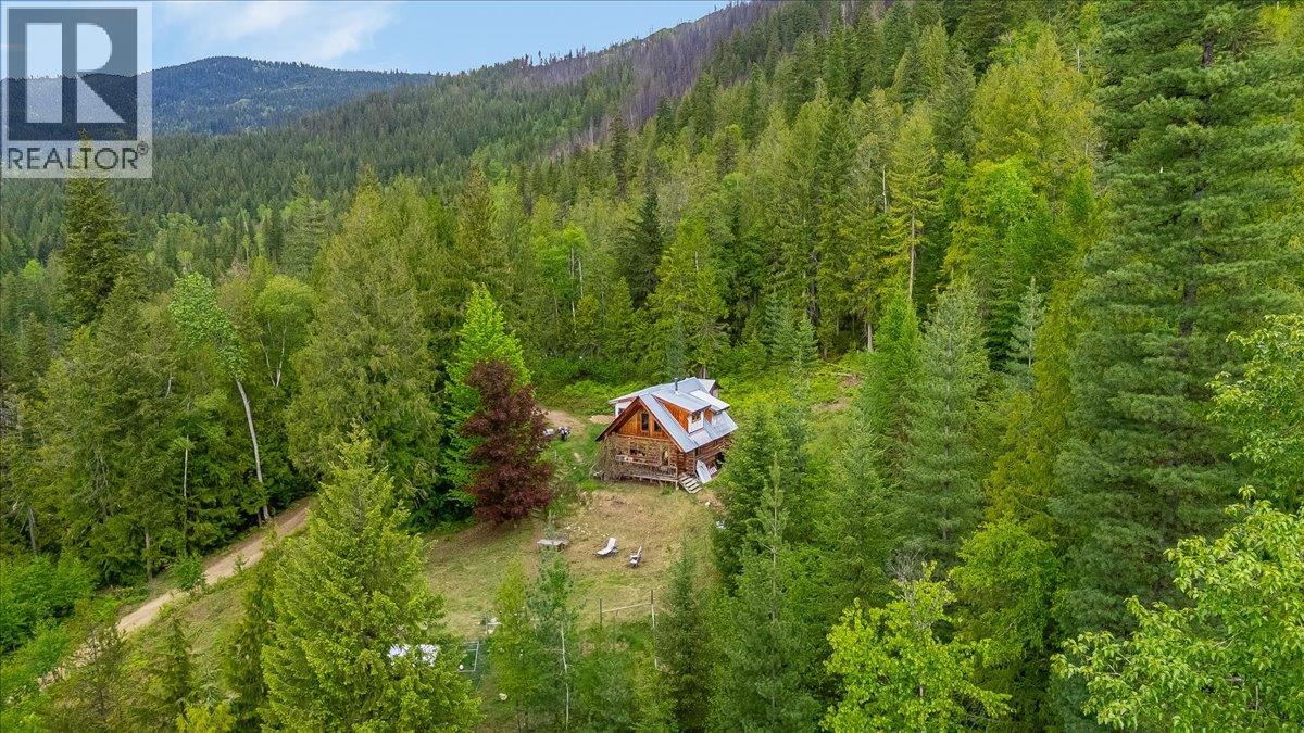 8907 Martens Road, Slocan, British Columbia  V0G 2C0 - Photo 58 - 10388581