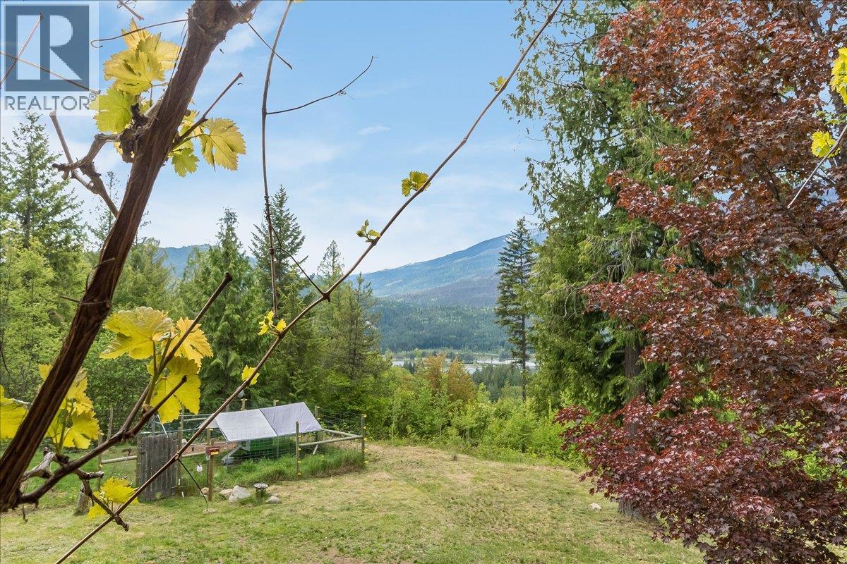 8907 Martens Road, Slocan, British Columbia  V0G 2C0 - Photo 6 - 10388581