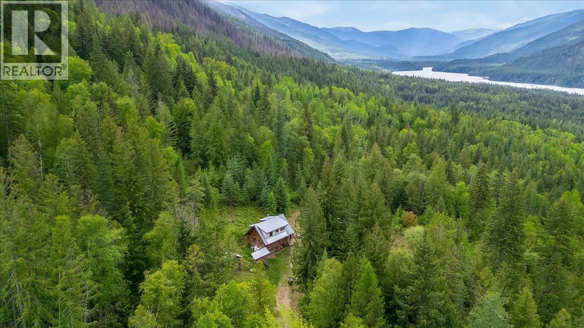 8907 Martens Road, Slocan, British Columbia  V0G 2C0 - Photo 63 - 10388581