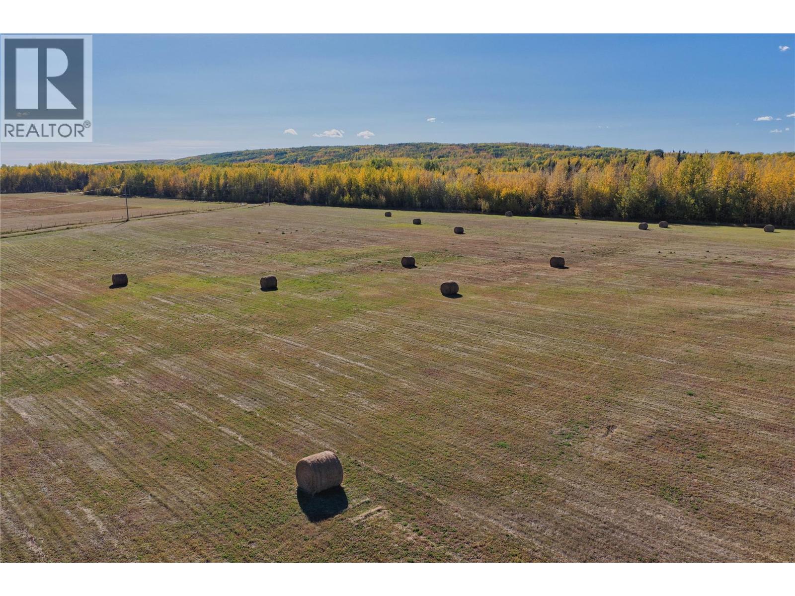 790/770 Jackfish Lake Road, Chetwynd, British Columbia  V0C 1J0 - Photo 38 - 10388534