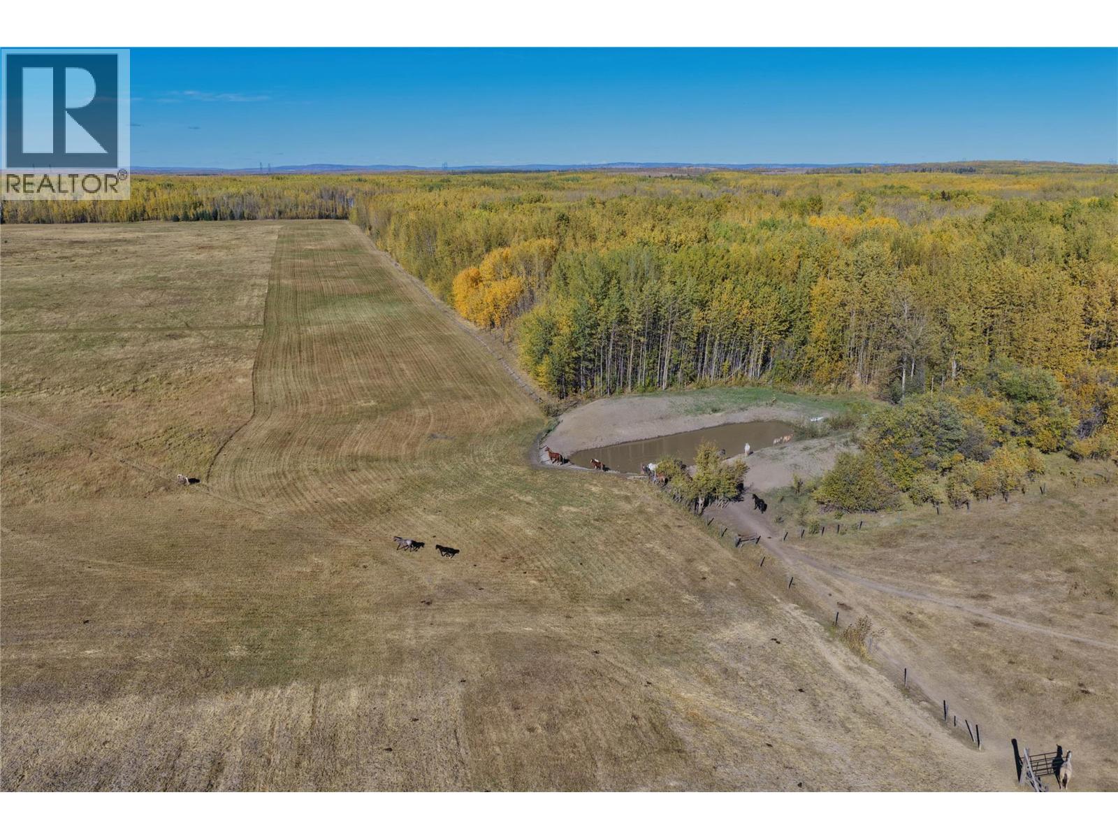 790/770 Jackfish Lake Road, Chetwynd, British Columbia  V0C 1J0 - Photo 41 - 10388534