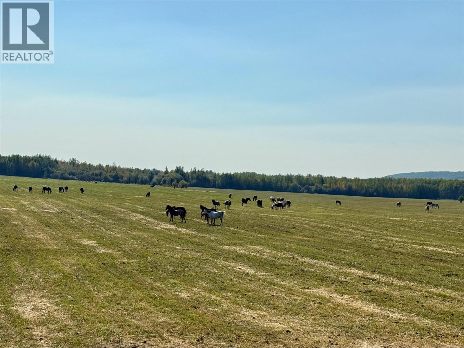 790/770 Jackfish Lake Road, Chetwynd, British Columbia  V0C 1J0 - Photo 44 - 10388534