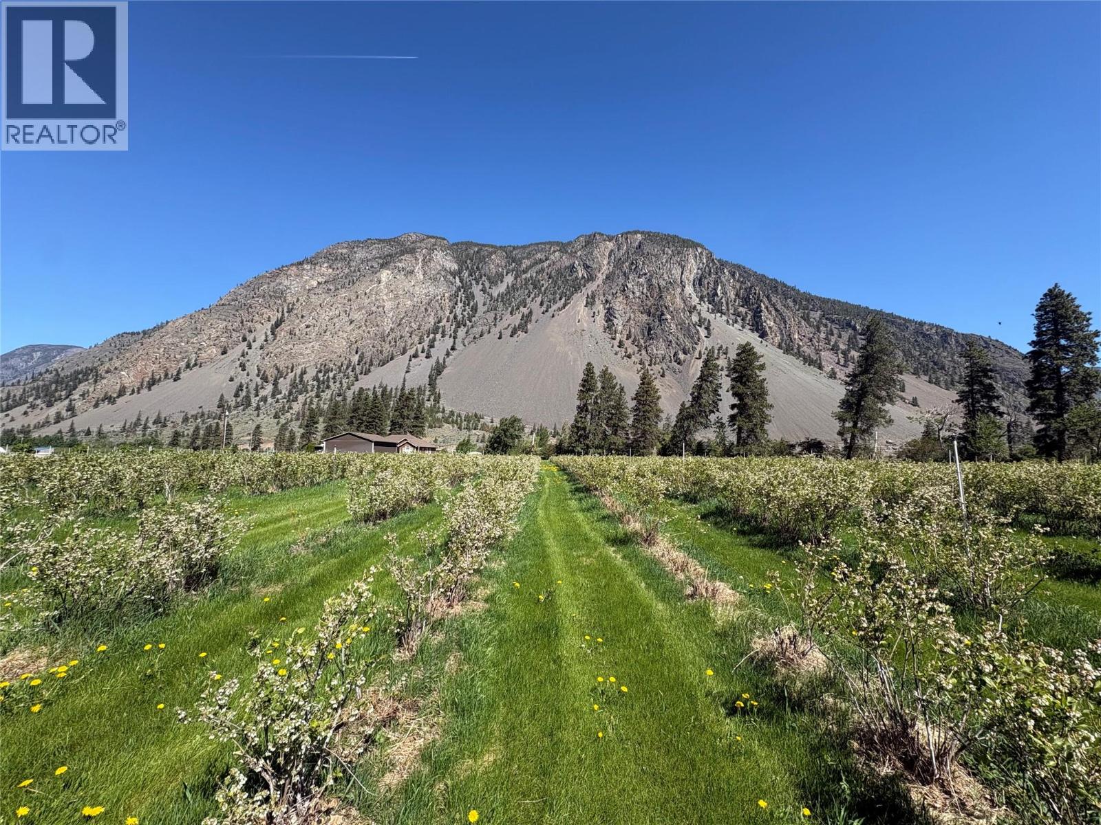 3210 / 3208 Cory Road, Keremeos, British Columbia  V0H 1N0 - Photo 3 - 10388150