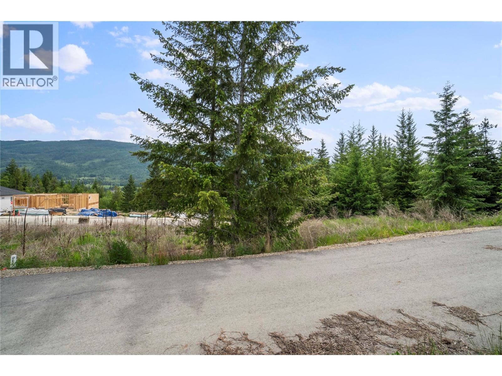 6731 42 Street Ne, Salmon Arm, British Columbia  V0E 1K0 - Photo 5 - 10387647
