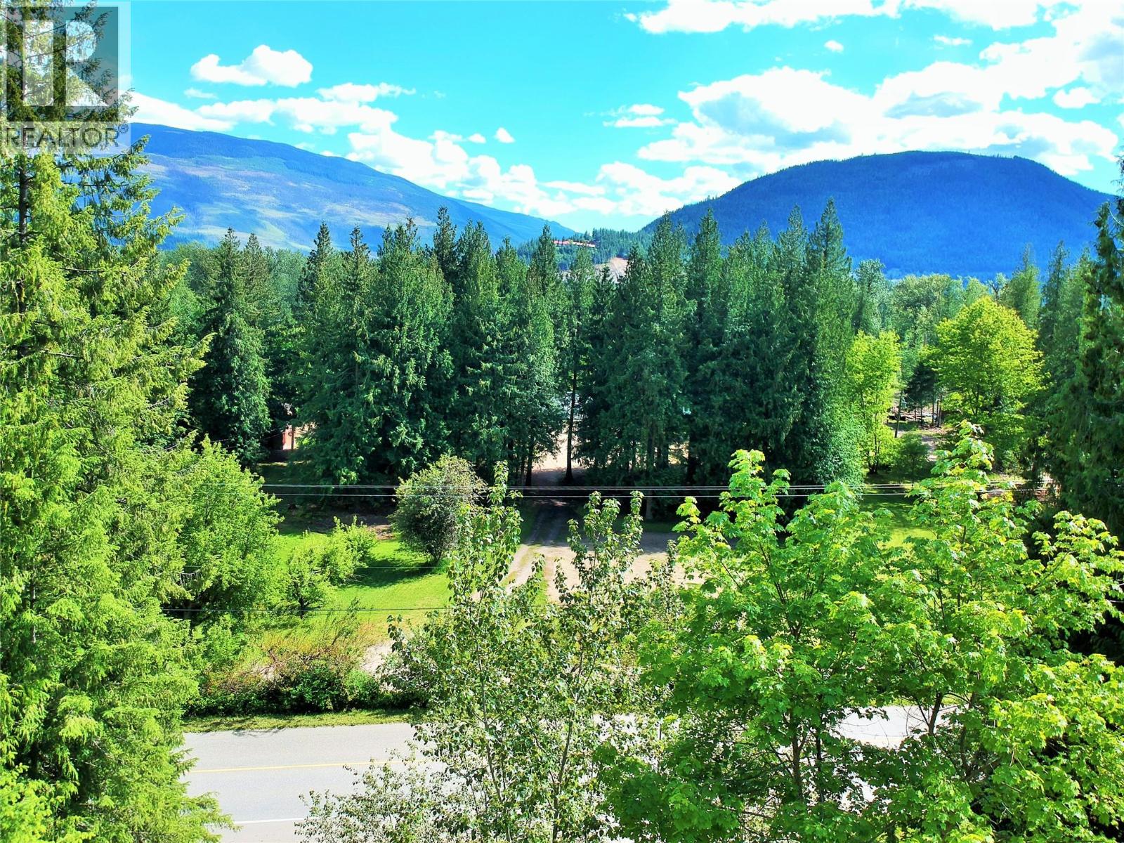 10 Old Town Road, Sicamous, British Columbia  V0E 2V4 - Photo 11 - 10388539