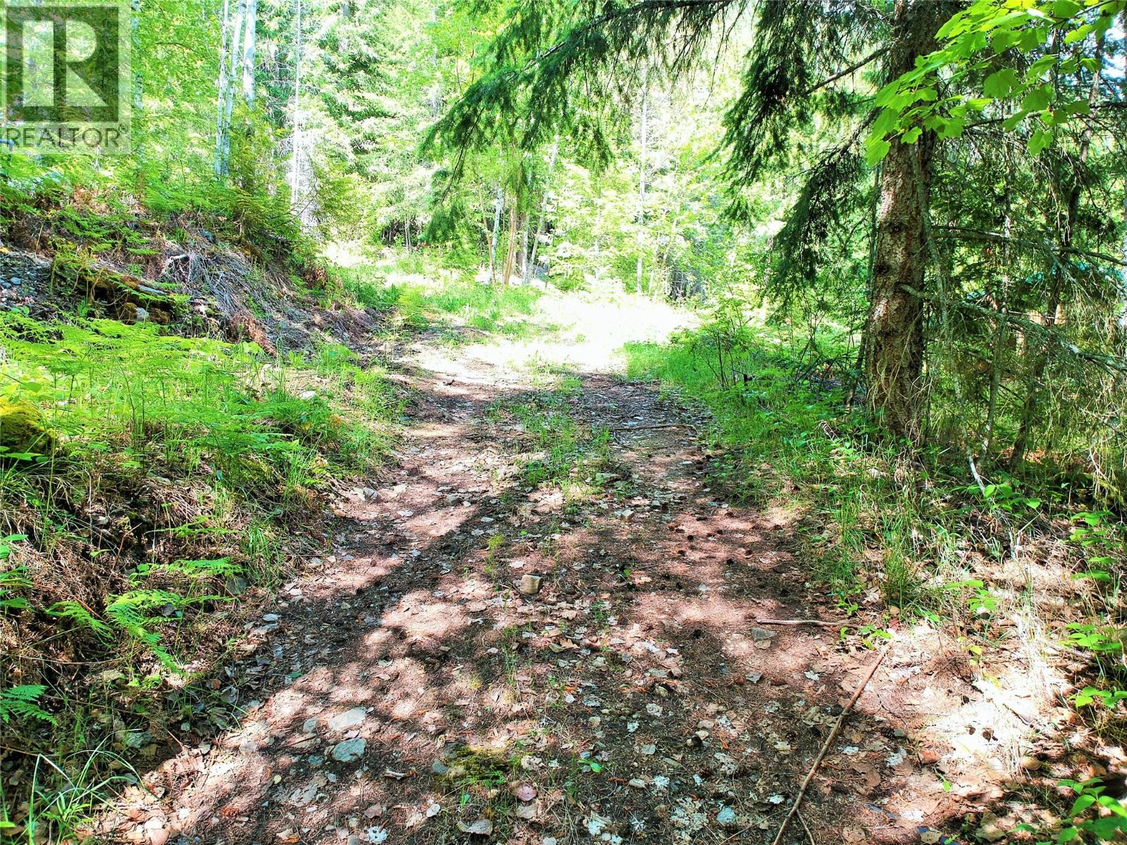 10 Old Town Road, Sicamous, British Columbia  V0E 2V4 - Photo 16 - 10388539