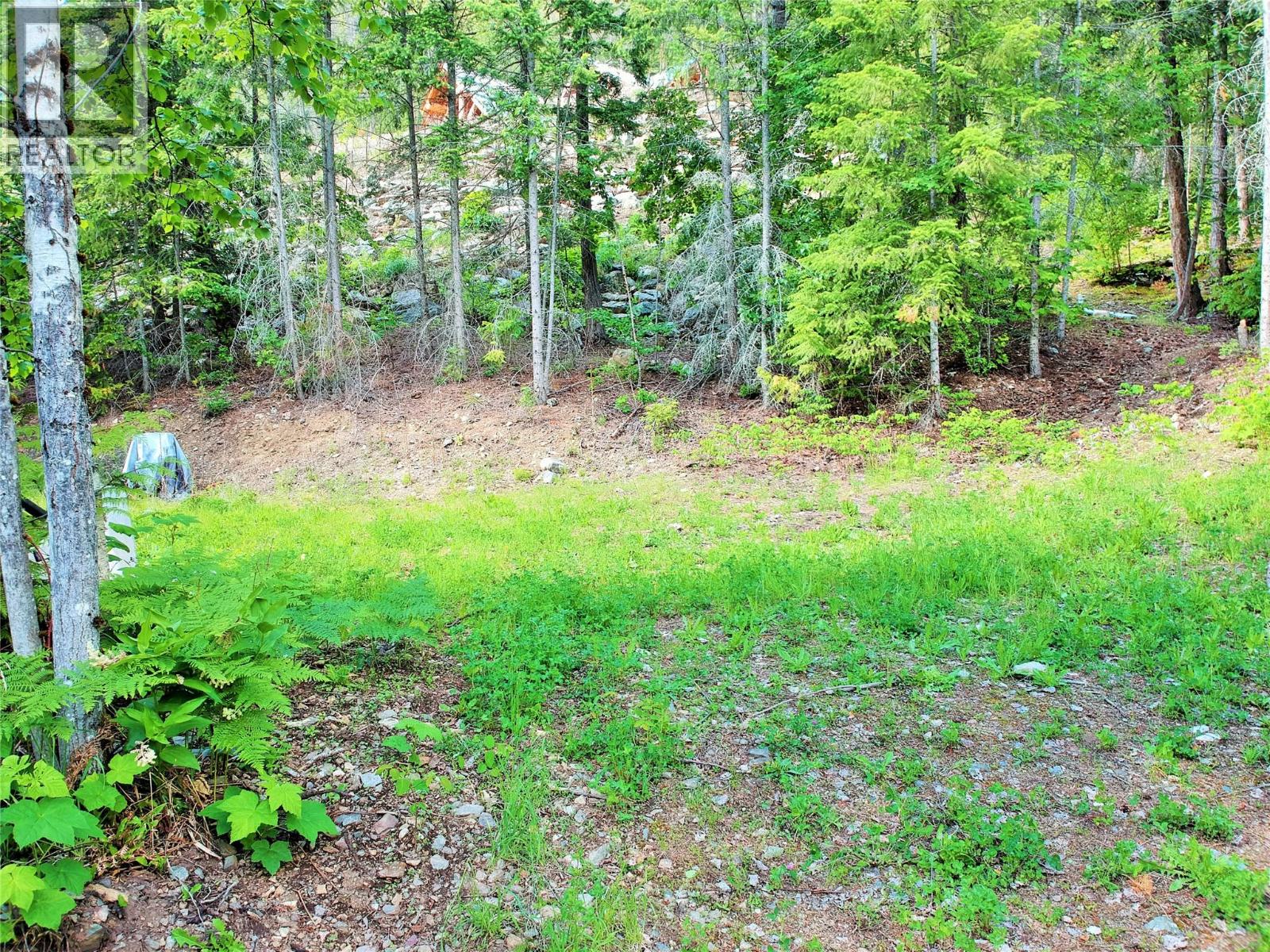 10 Old Town Road, Sicamous, British Columbia  V0E 2V4 - Photo 17 - 10388539