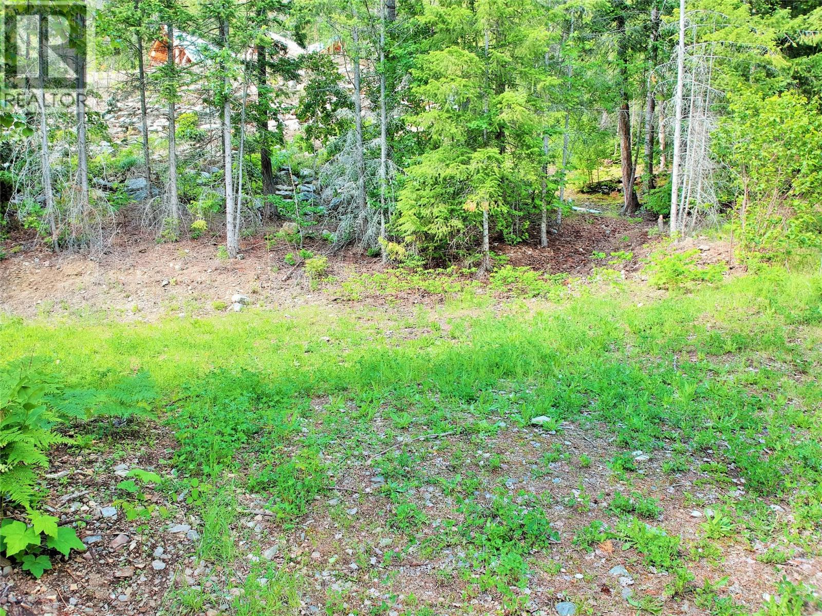 10 Old Town Road, Sicamous, British Columbia  V0E 2V4 - Photo 18 - 10388539
