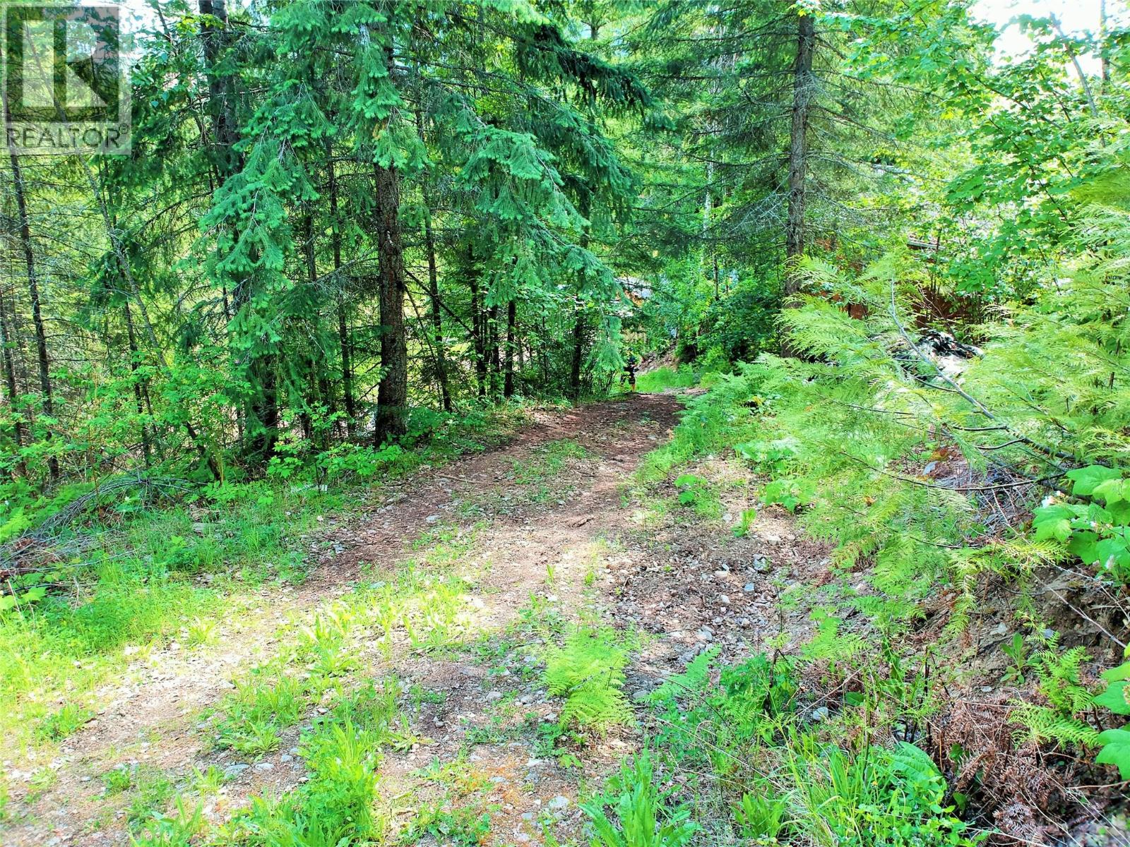 10 Old Town Road, Sicamous, British Columbia  V0E 2V4 - Photo 19 - 10388539