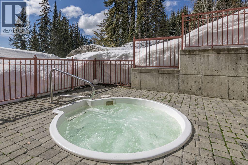 9802 Silver Star Road Unit# 205, Vernon, British Columbia  V1B 3W9 - Photo 17 - 10388735