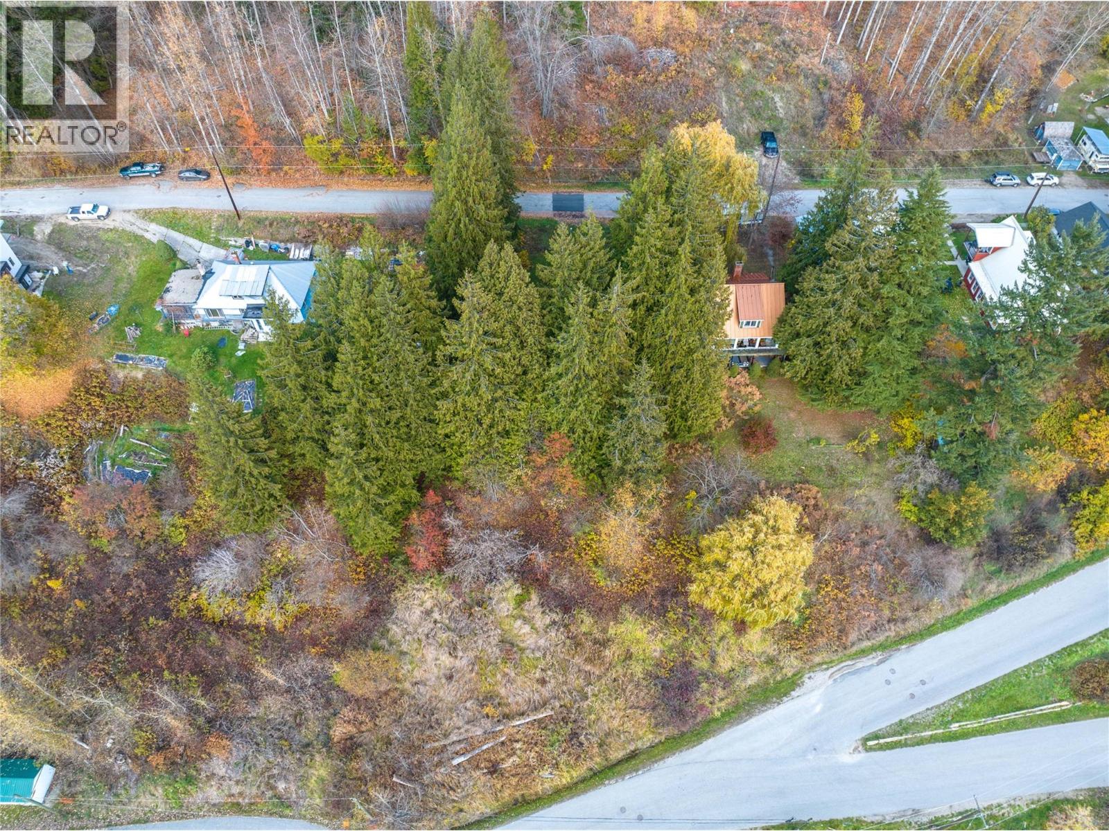 125 Maple Street, Revelstoke, British Columbia  V0E 2S0 - Photo 5 - 10388832