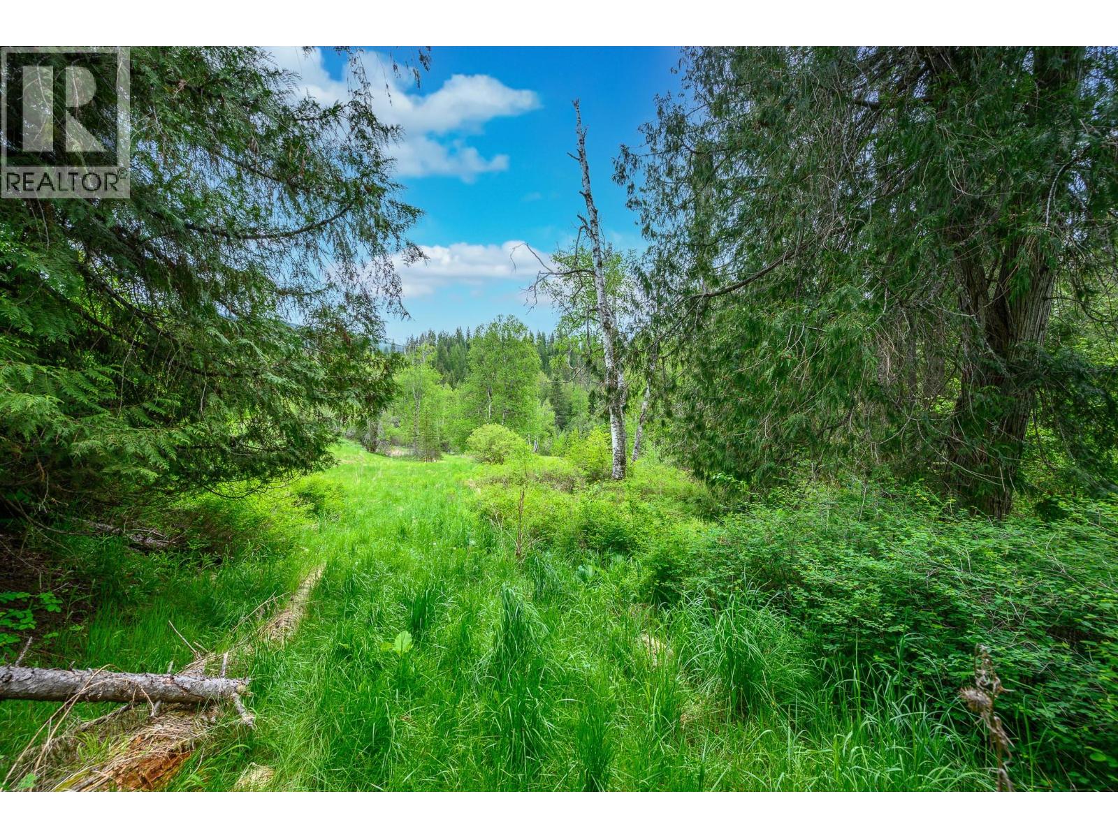 522 North Fork Road, Cherryville, British Columbia  V0E 2G0 - Photo 69 - 10387867