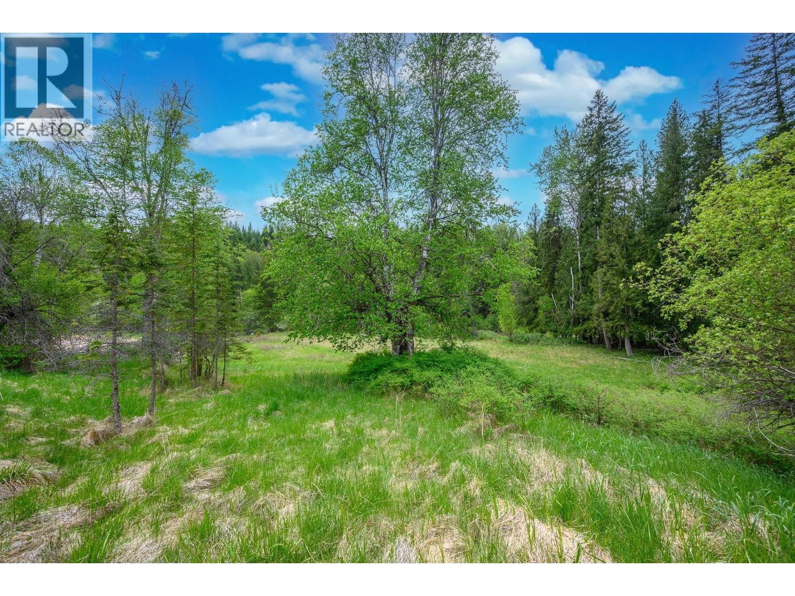 522 North Fork Road, Cherryville, British Columbia  V0E 2G0 - Photo 71 - 10387867