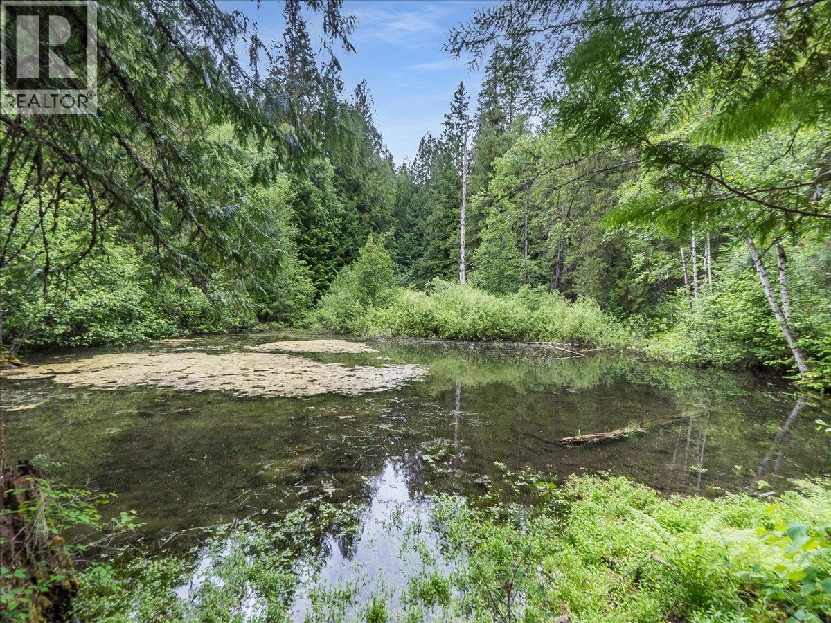 1990 6 Highway, Crescent Valley, British Columbia  V0G 1H0 - Photo 50 - 10388513