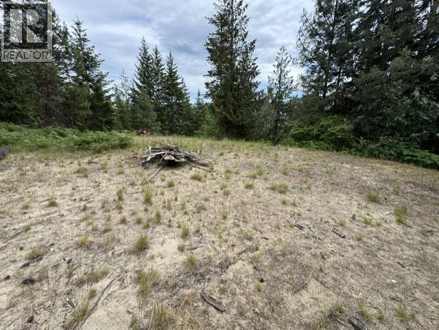 5265 Hlina Road, Celista, British Columbia  V0E 1M6 - Photo 17 - 10388821