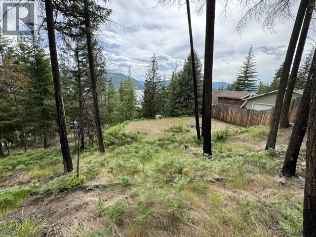 5265 Hlina Road, Celista, British Columbia  V0E 1M6 - Photo 18 - 10388821