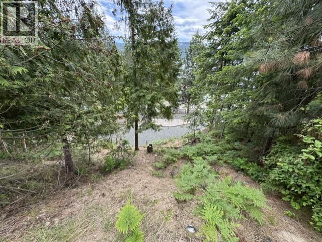 5265 Hlina Road, Celista, British Columbia  V0E 1M6 - Photo 19 - 10388821