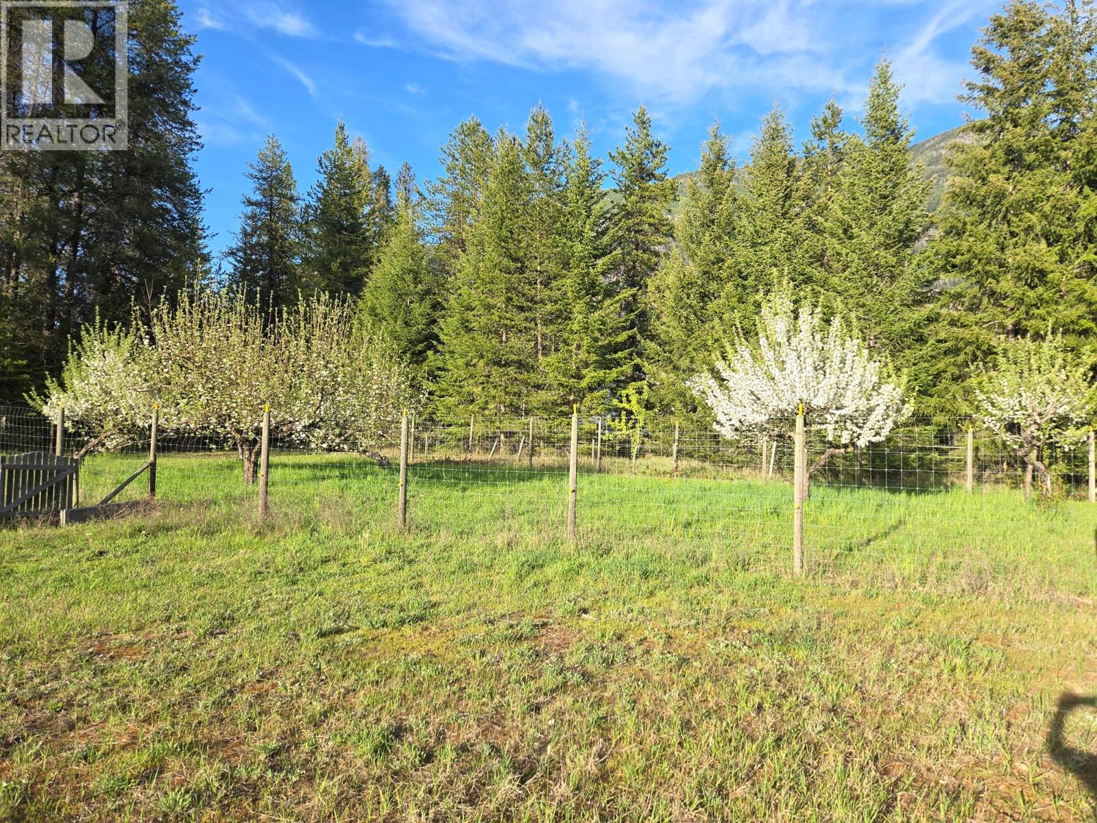 3918 Passmore Upper Road, Passmore, British Columbia  V0G 2J0 - Photo 84 - 10388802
